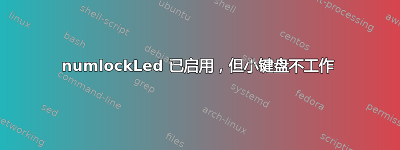 numlockLed 已启用，但小键盘不工作