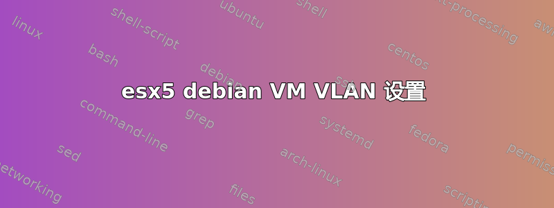 esx5 debian VM VLAN 设置