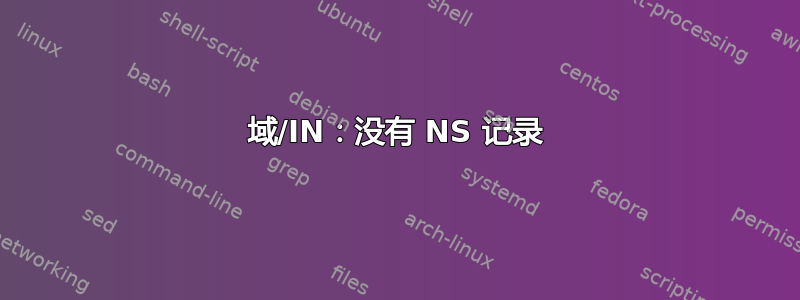 域/IN：没有 NS 记录