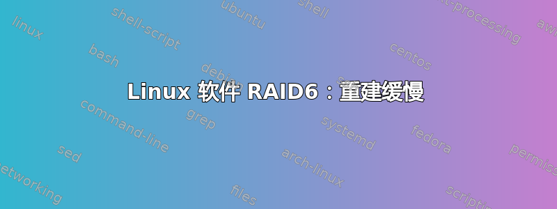 Linux 软件 RAID6：重建缓慢