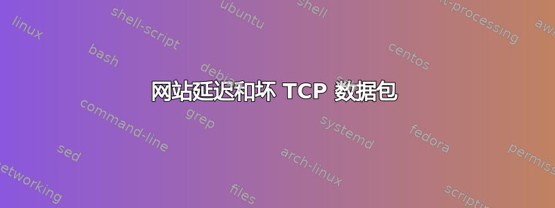 网站延迟和坏 TCP 数据包