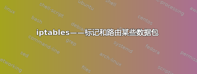 iptables——标记和路由某些数据包