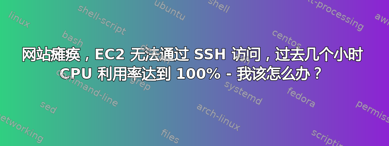 网站瘫痪，EC2 无法通过 SSH 访问，过去几个小时 CPU 利用率达到 100% - 我该怎么办？