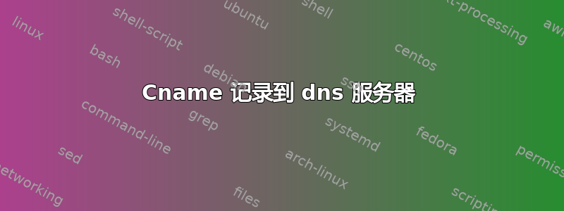 Cname 记录到 dns 服务器