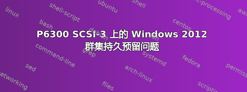 P6300 SCSI-3 上的 Windows 2012 群集持久预留问题