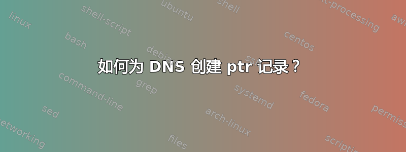 如何为 DNS 创建 ptr 记录？