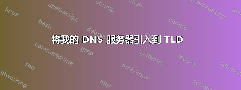 将我的 DNS 服务器引入到 TLD 