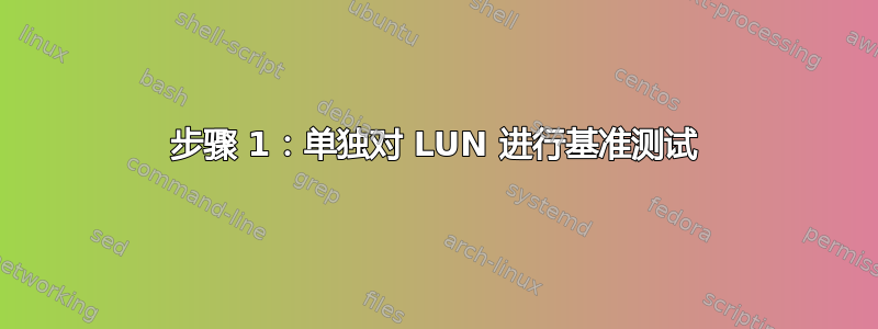 步骤 1：单独对 LUN 进行基准测试