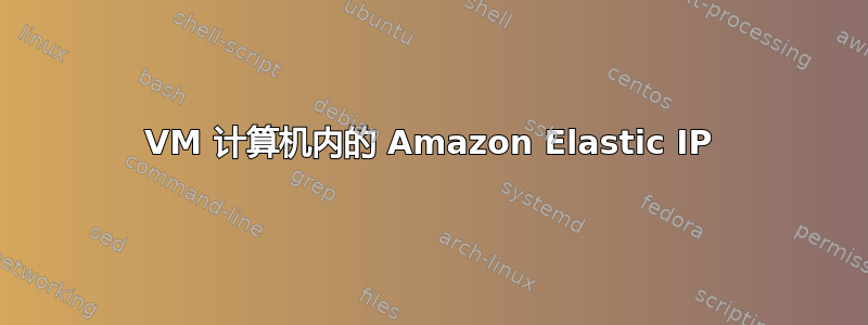 VM 计算机内的 Amazon Elastic IP