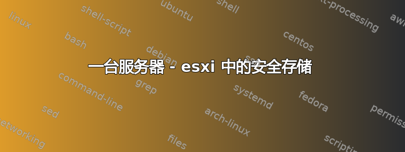 一台服务器 - esxi 中的安全存储