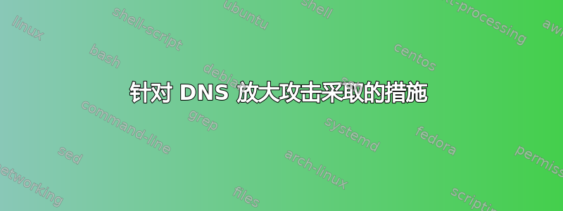 针对 DNS 放大攻击采取的措施