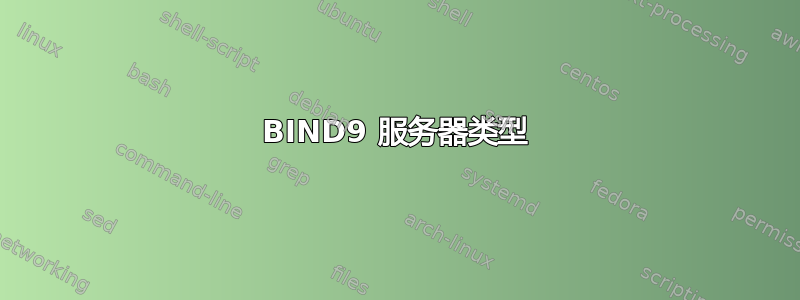 BIND9 服务器类型