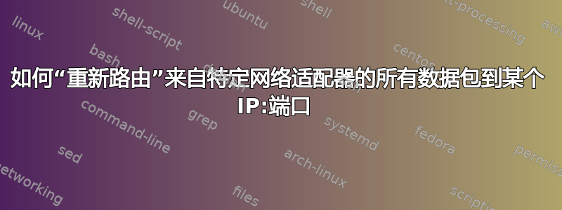 如何“重新路由”来自特定网络适配器的所有数据包到某个 IP:端口 