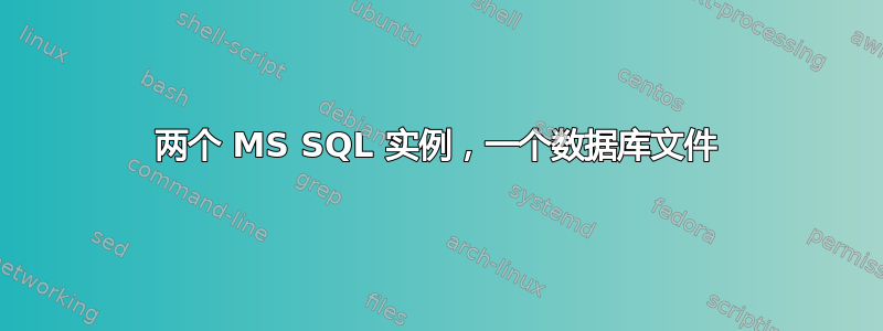 两个 MS SQL 实例，一个数据库文件