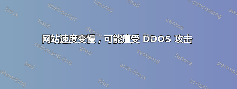 网站速度变慢，可能遭受 DDOS 攻击