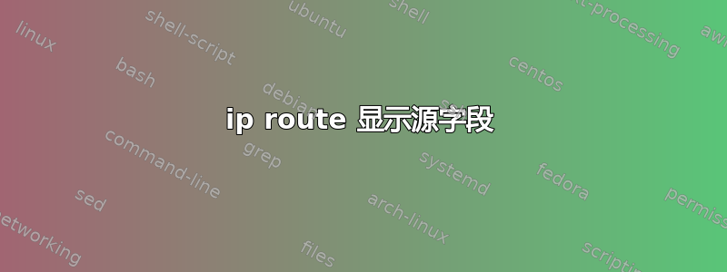 ip route 显示源字段