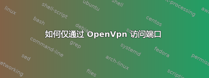 如何仅通过 OpenVpn 访问端口