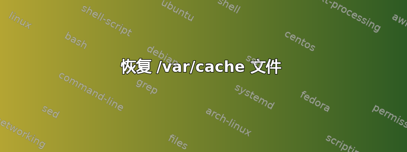 恢复 /var/cache 文件