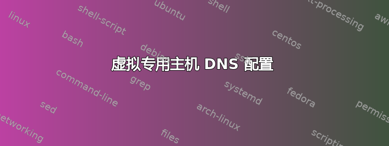 虚拟专用主机 DNS 配置