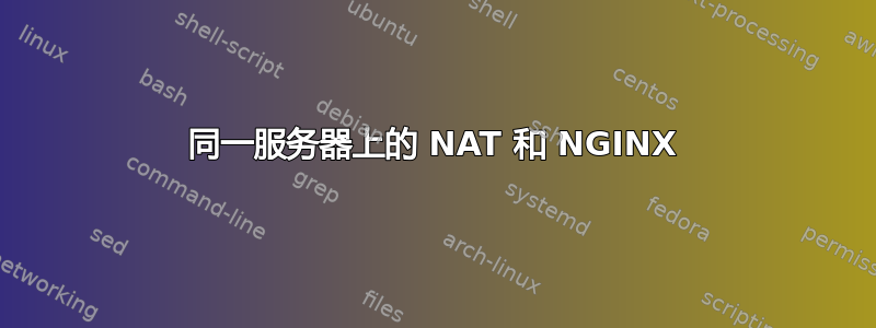 同一服务器上的 NAT 和 NGINX