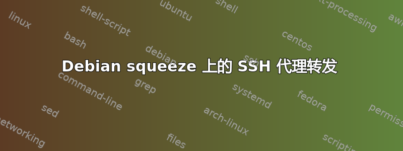 Debian squeeze 上的 SSH 代理转发