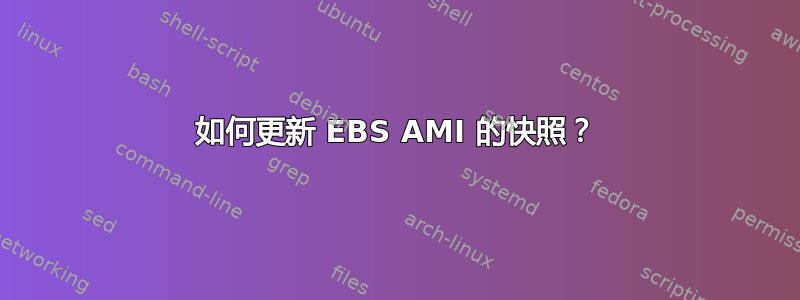 如何更新 EBS AMI 的快照？