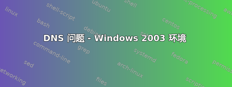 DNS 问题 - Windows 2003 环境