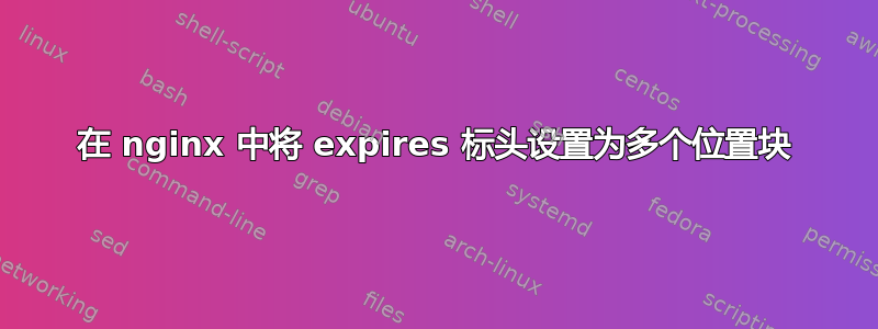 在 nginx 中将 expires 标头设置为多个位置块