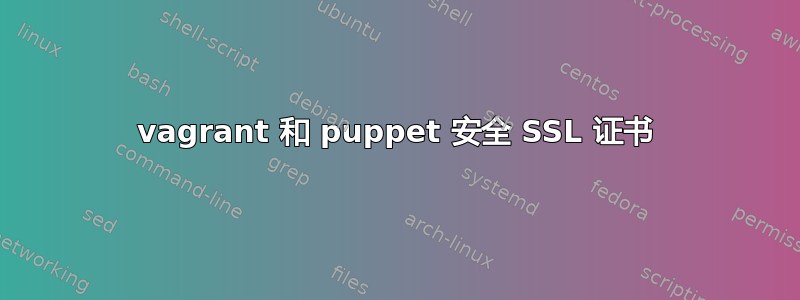 vagrant 和 puppet 安全 SSL 证书