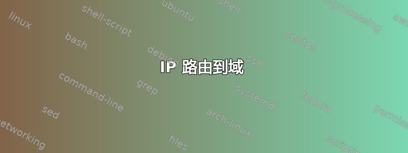 IP 路由到域