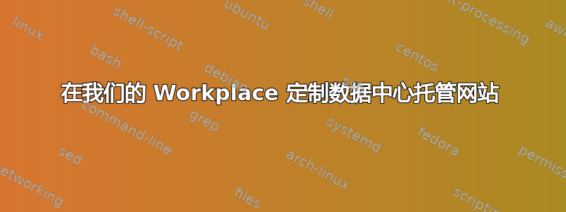 在我们的 Workplace 定制数据中心托管网站