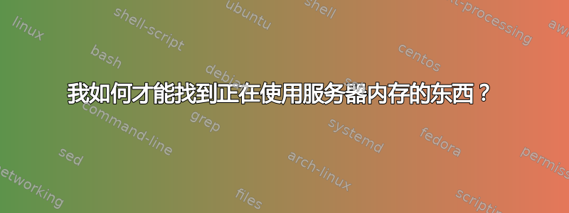 我如何才能找到正在使用服务器内存的东西？