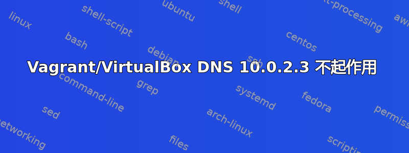 Vagrant/VirtualBox DNS 10.0.2.3 不起作用