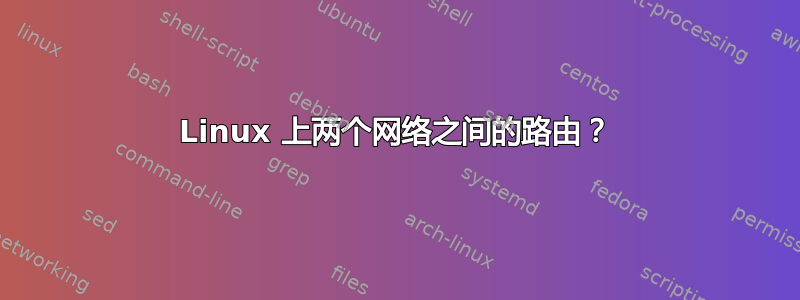 Linux 上两个网络之间的路由？