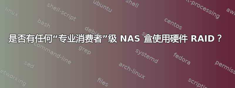 是否有任何“专业消费者”级 NAS 盒使用硬件 RAID？