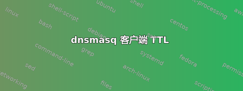 dnsmasq 客户端 TTL