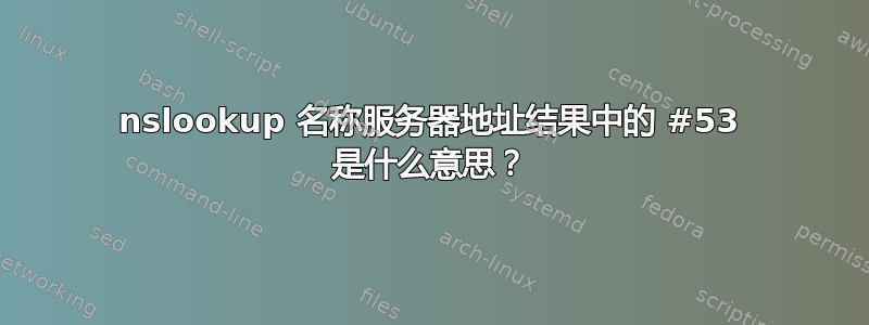 nslookup 名称服务器地址结果中的 #53 是什么意思？