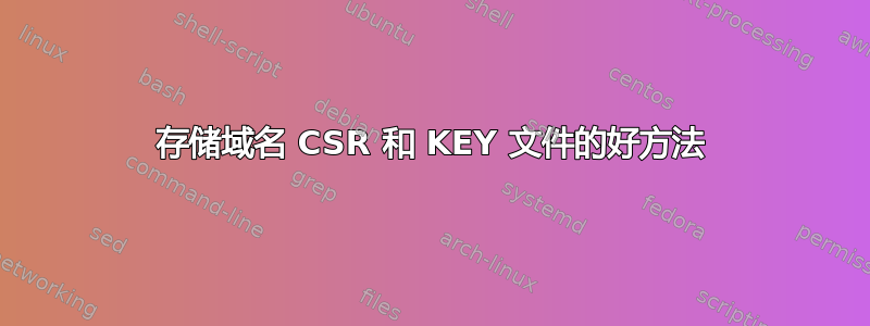 存储域名 CSR 和 KEY 文件的好方法