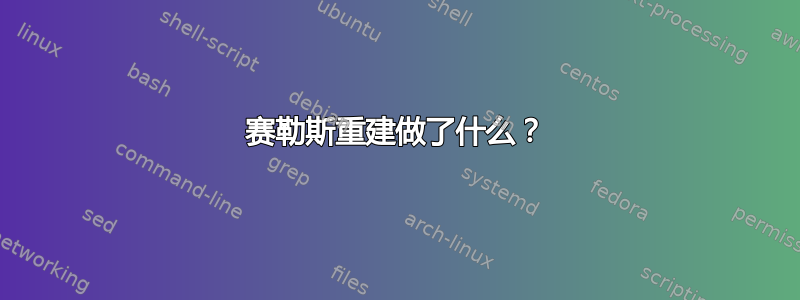 赛勒斯重建做了什么？