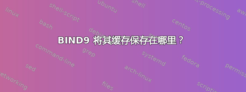 BIND9 将其缓存保存在哪里？