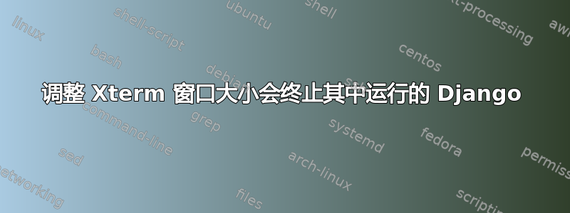 调整 Xterm 窗口大小会终止其中运行的 Django