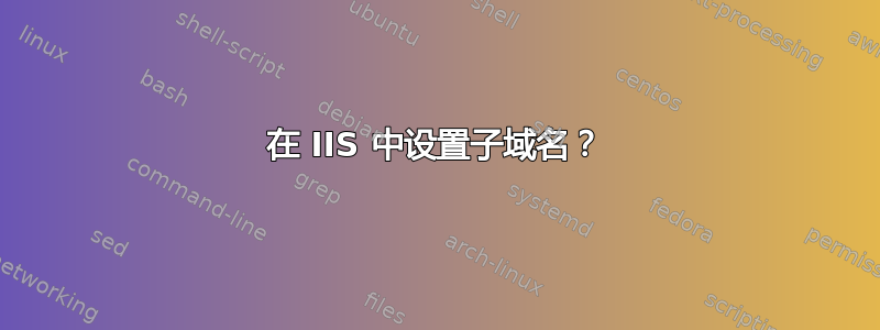 在 IIS 中设置子域名？