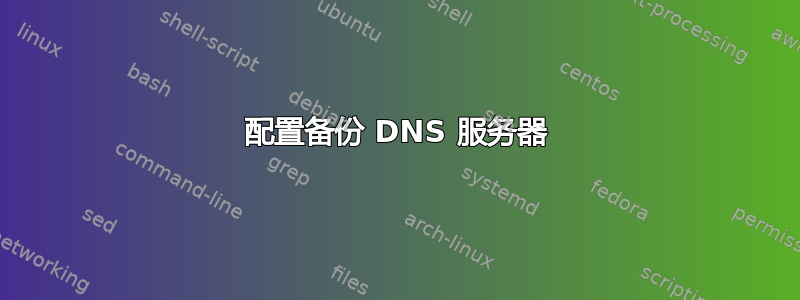 配置备份 DNS 服务器