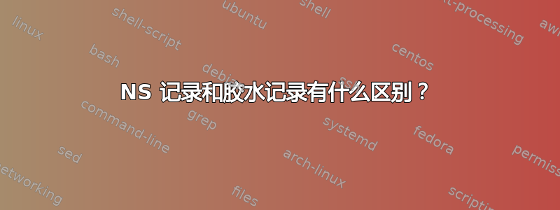 NS 记录和胶水记录有什么区别？