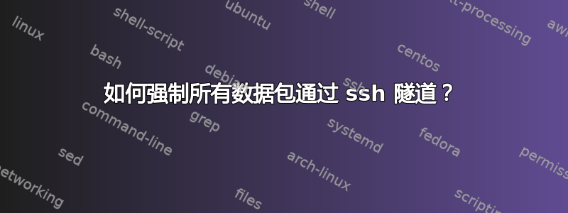 如何强制所有数据包通过 ssh 隧道？