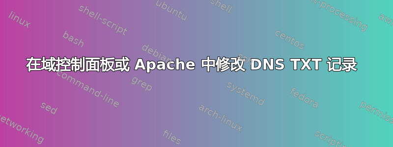 在域控制面板或 Apache 中修改 DNS TXT 记录 