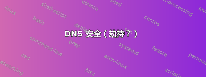 DNS 安全（劫持？）