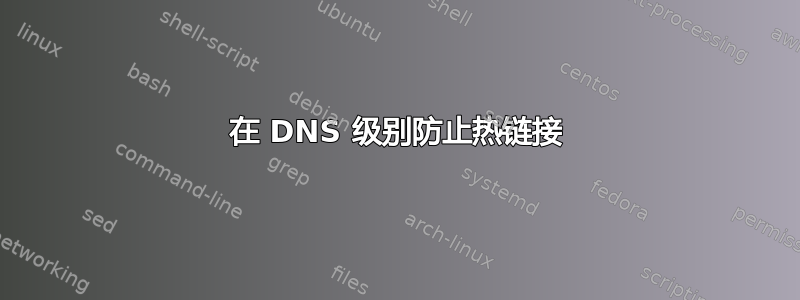 在 DNS 级别防止热链接