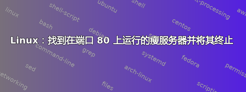 Linux：找到在端口 80 上运行的瘦服务器并将其终止