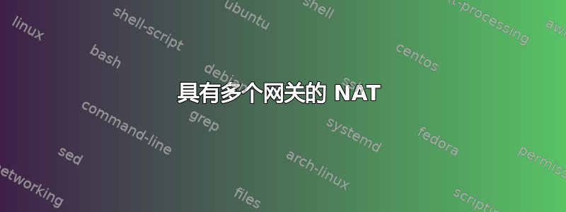 具有多个网关的 NAT